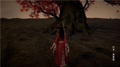 代号某某某免广告版